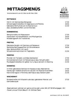 Wochenübersicht als PDF