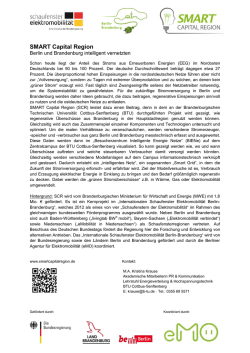 Projektskizze - Smart Capital Region
