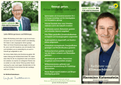 Hermino Katzenstein