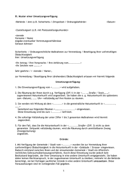 Muster einer Umsetzungsverf&uuml;gung 10