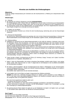 Hinweise zum Ausf&uuml;llen des Erhebungsbogens