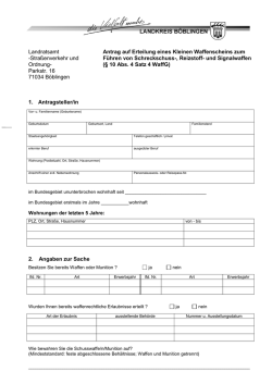 Antrag Kleiner Waffenschein