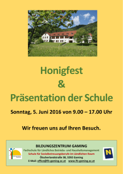 Honigfest & Präsentation der Schule