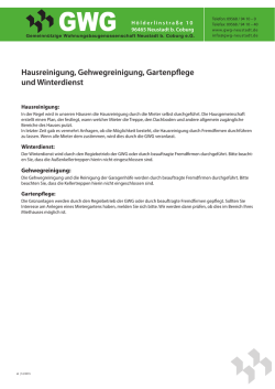 Hausreinigung, Gehwegreinigung