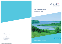 PDF 11MB, Datei ist nicht barrierefrei - Schleswig