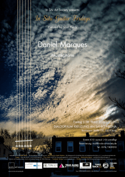 In Situ Guitar Fridays Daniel Marques
