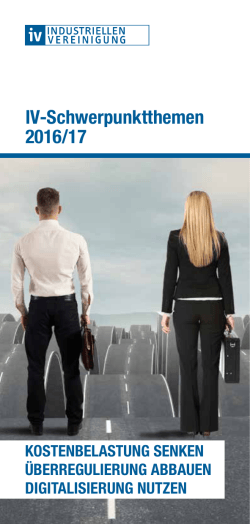 IV-Schwerpunktthemen 2016/17