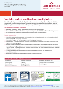 Infoblatt Berufsgruppeneinstufung