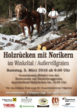 Holzr&uuml;cken mit Norikern Holzr&uuml;cken mit Norikern