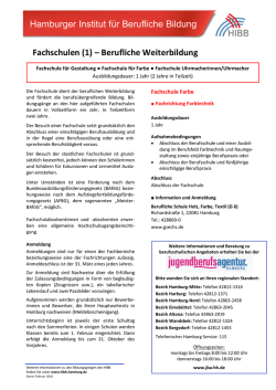 Infoblatt Fachschule Farbe - HIBB