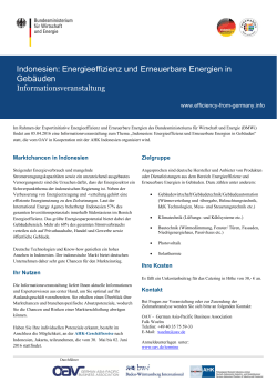 Indonesien: Energieeffizienz und Erneuerbare