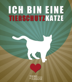 Ich bin eine Tierschutzkatze  |