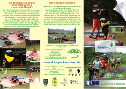 Flyer Kreativer Biathlon