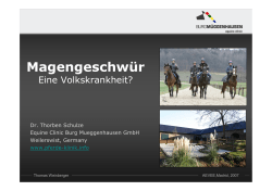 Magengeschwür