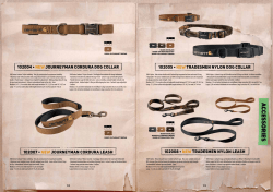 DOG-accessories von CARHARTT!
