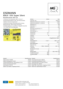 Datenblatt Stromgenerator Eisemann BSKA 13 EV Super SIlent