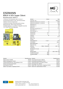 Datenblatt Stromgenerator Eisemann BSKA 9.5 EV Super Silent