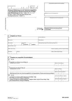 V6341 Internetformular Deutsche Rentenversicherung Bund