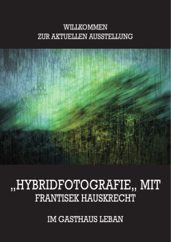 hybridfotografie&bdquo; mit