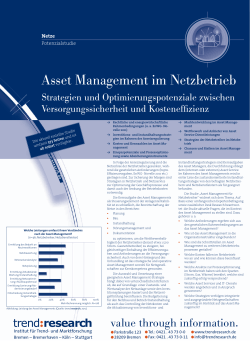 Asset Management im Netzbetrieb