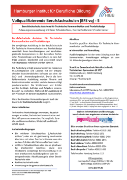 Infoblatt BFS Assistenz f&uuml;r Technische - HIBB