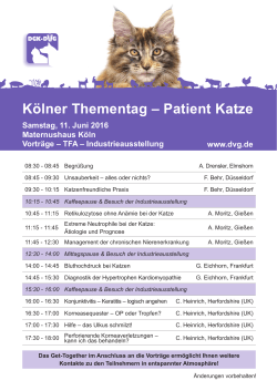 Kölner Thementag – Patient Katze