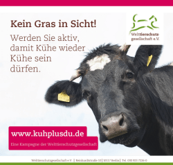 Druck - Kuh+Du