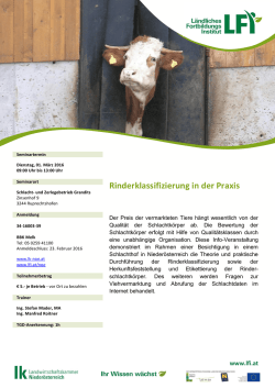 Rinderklassifizierung in der Praxis