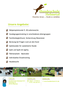 Flyer Hundeschule