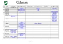 BVR-Terminplan als PDF
