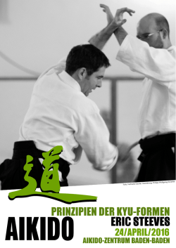 Eric Steeves Aikido April 2016 AZBB - Aikido-Zentrum Baden