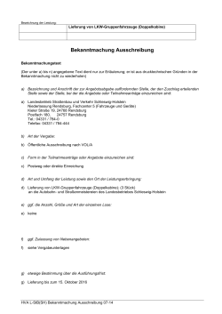 Lieferung von LKW-Gruppenfahrzeuge (PDF - Schleswig