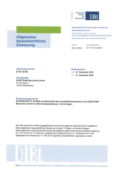 eurorepair pc 96 whg - EUROTEAM Bauchemie