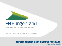 Informationen zum Praktikum