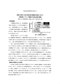 豊富な元素から成る多接合製太陽電池の創出に向けた半導体鉄