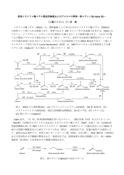 新規メタクリル酸メチル製造用触媒およびプロセスの開発－新エチレン法