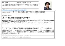 本領域における分担テーマ：モータータンパク質よる分子ロボットの骨格