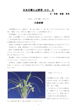 日本の蘭と山野草 NO．5