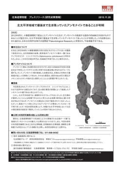 北太平洋地域で最後まで生き残っていたアンモナイトで