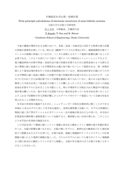半無限系を含む第一原理計算 First-principle