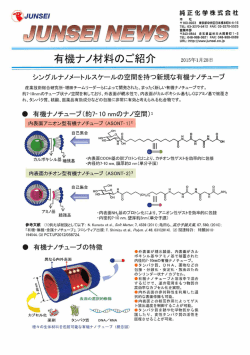 シングルナノメートルスケールの空間を持つ新規な有機ナノチューブ