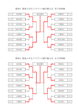 団体戦 - 千葉県ソフトテニス連盟