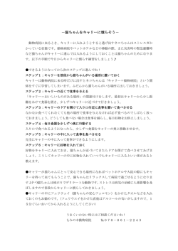－猫ちゃんをキャリーに慣らそう－