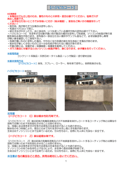 【ハジピカコート】