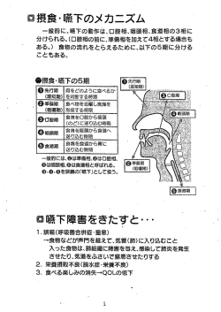 一般的に、嚥下の動作は、口腔相、咽頭相、食道相の3相に 分けられる