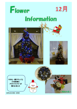 ～現在の花～ - 柏厚生総合病院