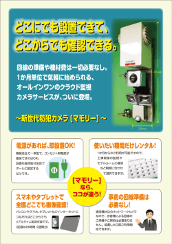 マモリー - 日本サンライズ
