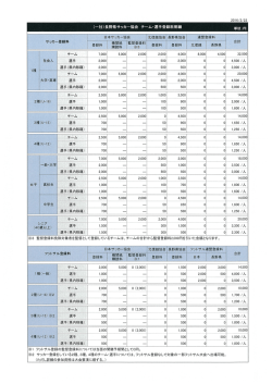 （一社）長野県サッカー協会 チーム・選手登録料明細