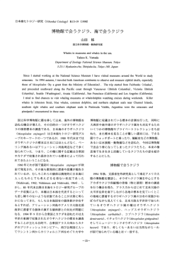 博物館で会うタジラ、 海で会うクジラ