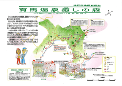 「有馬温泉癒しの森」 と名づけ、 森の散策や、 様々な野鳥や草花と 会う
